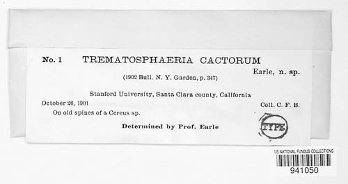 Trematosphaeria cactorum image